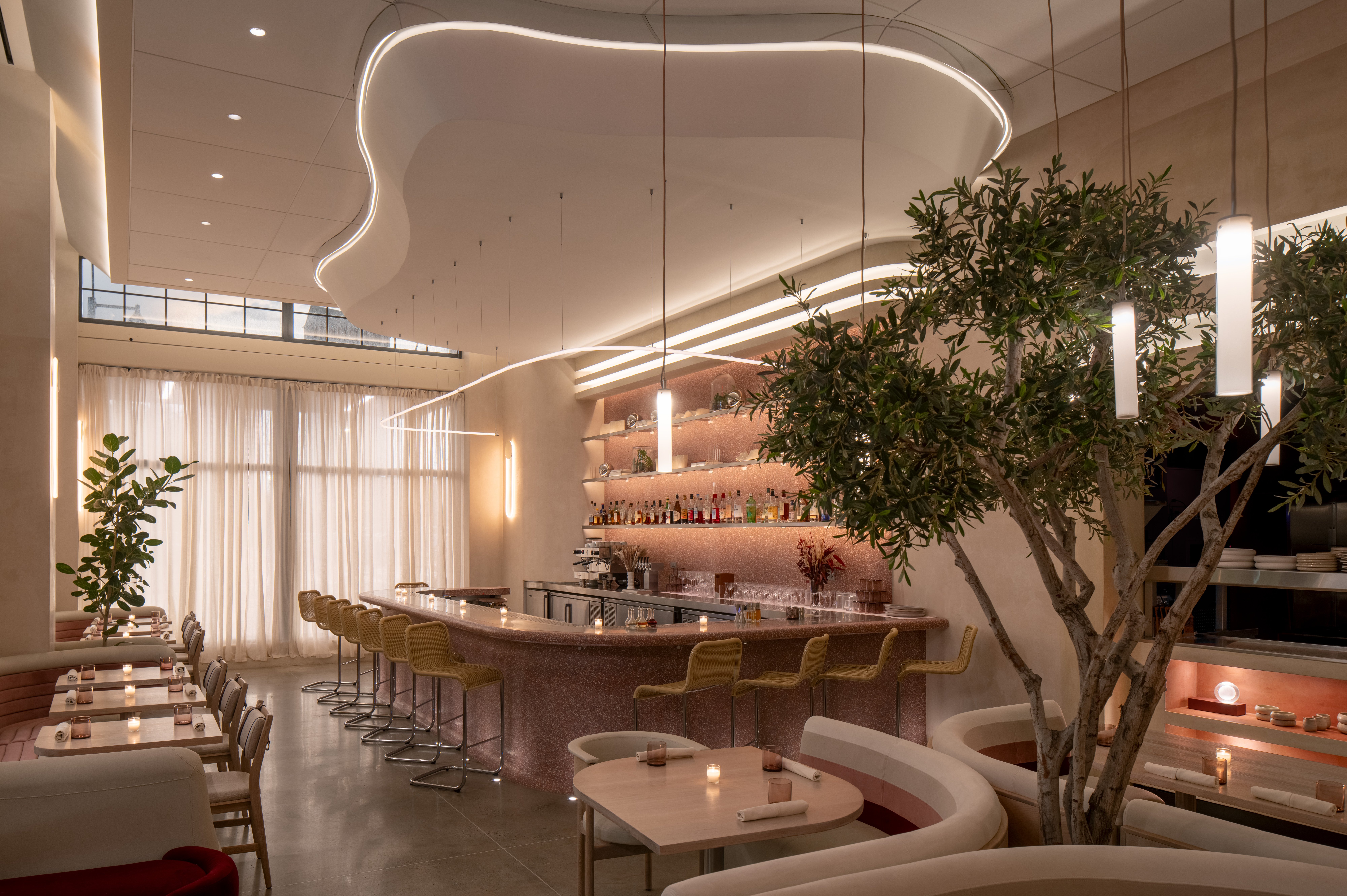 The bar at Ash, lit by warm pendant lights with an olive tree alongside the dining room